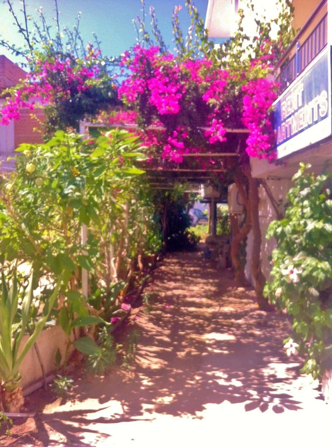 Apartment Apollonia Agia Pelagia (Kreta)